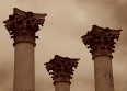 Capitol Columns